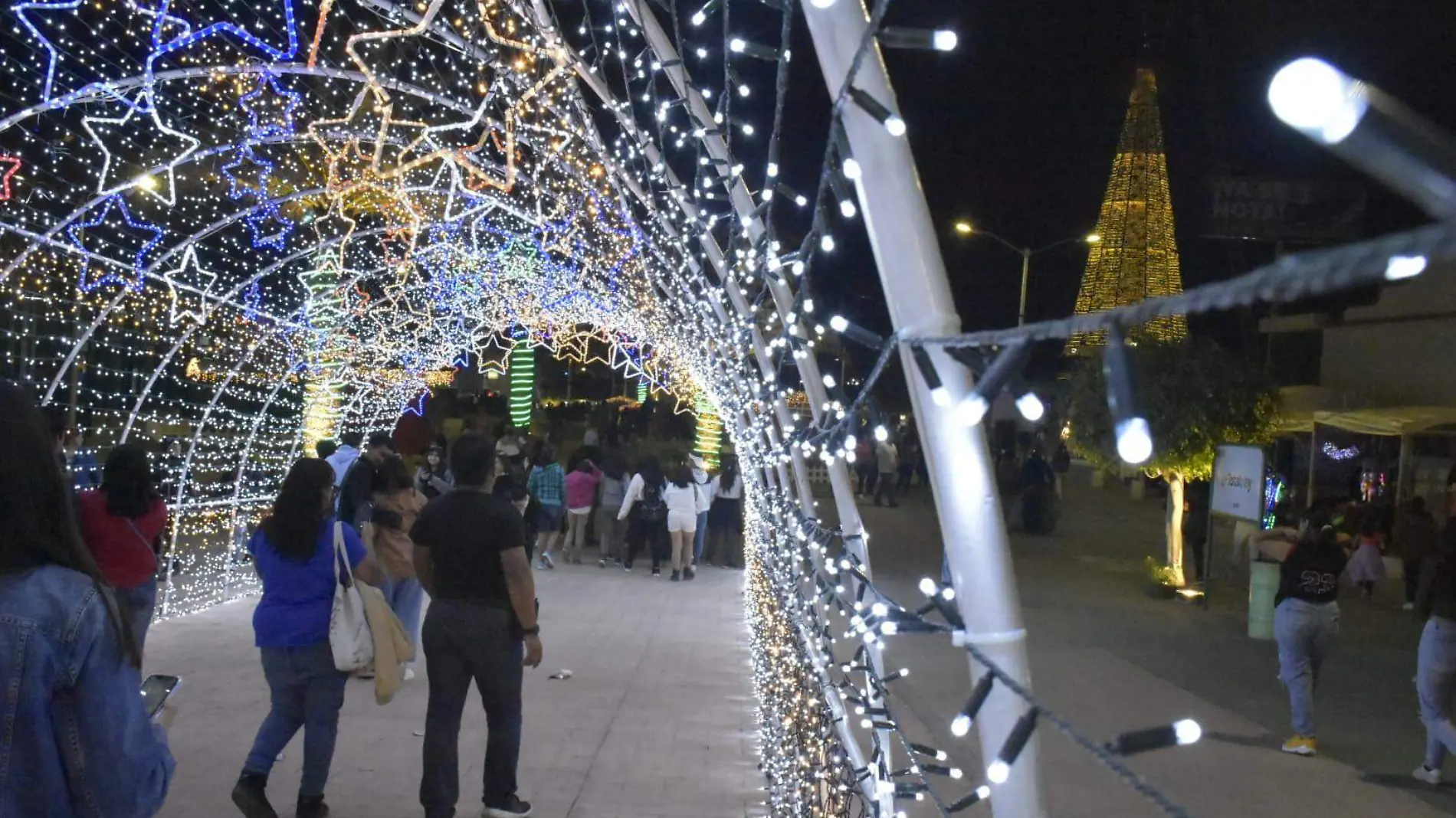 festival navideño (1)